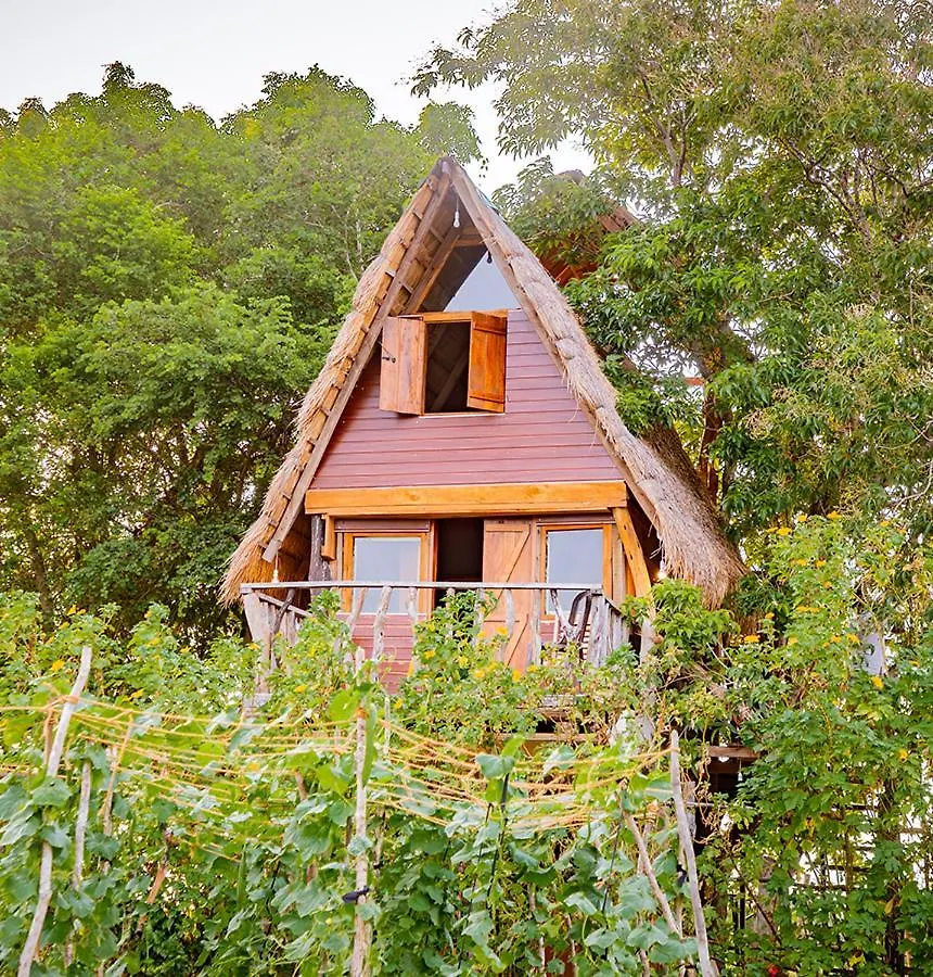 Wisdom Camping And Glamping Habarana